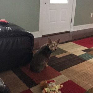 Meet your Posher, Renee